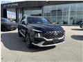 2021 Hyundai Santa Fe 4dr Awd Ult Callig for sale 2021
Hyundai
Santa Fe 4dr Awd Ult Callig